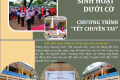 Sinh hoạt dưới cờ